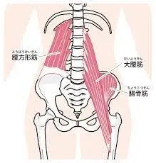 帯広の整骨院が腰痛の原因を徹底解説